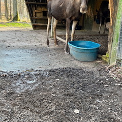 23-02-13 14-24-02 4219